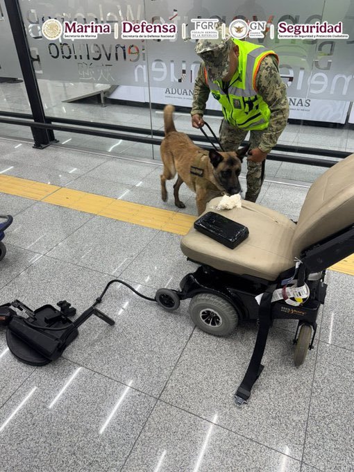 Agentes de la Marina inspeccionan la silla de ruedas donde se ocultaban ocho paquetes de cocaína en el AICM.